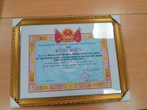 Bằng Khen Cuộc thanh thiếu niên nhi đồng 19